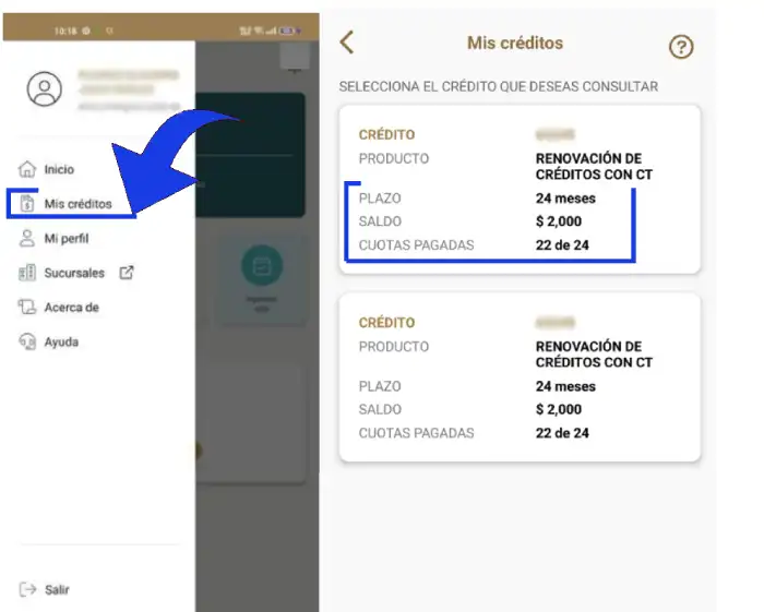 Consulta de Estado de Cuenta en la App FONACOT
